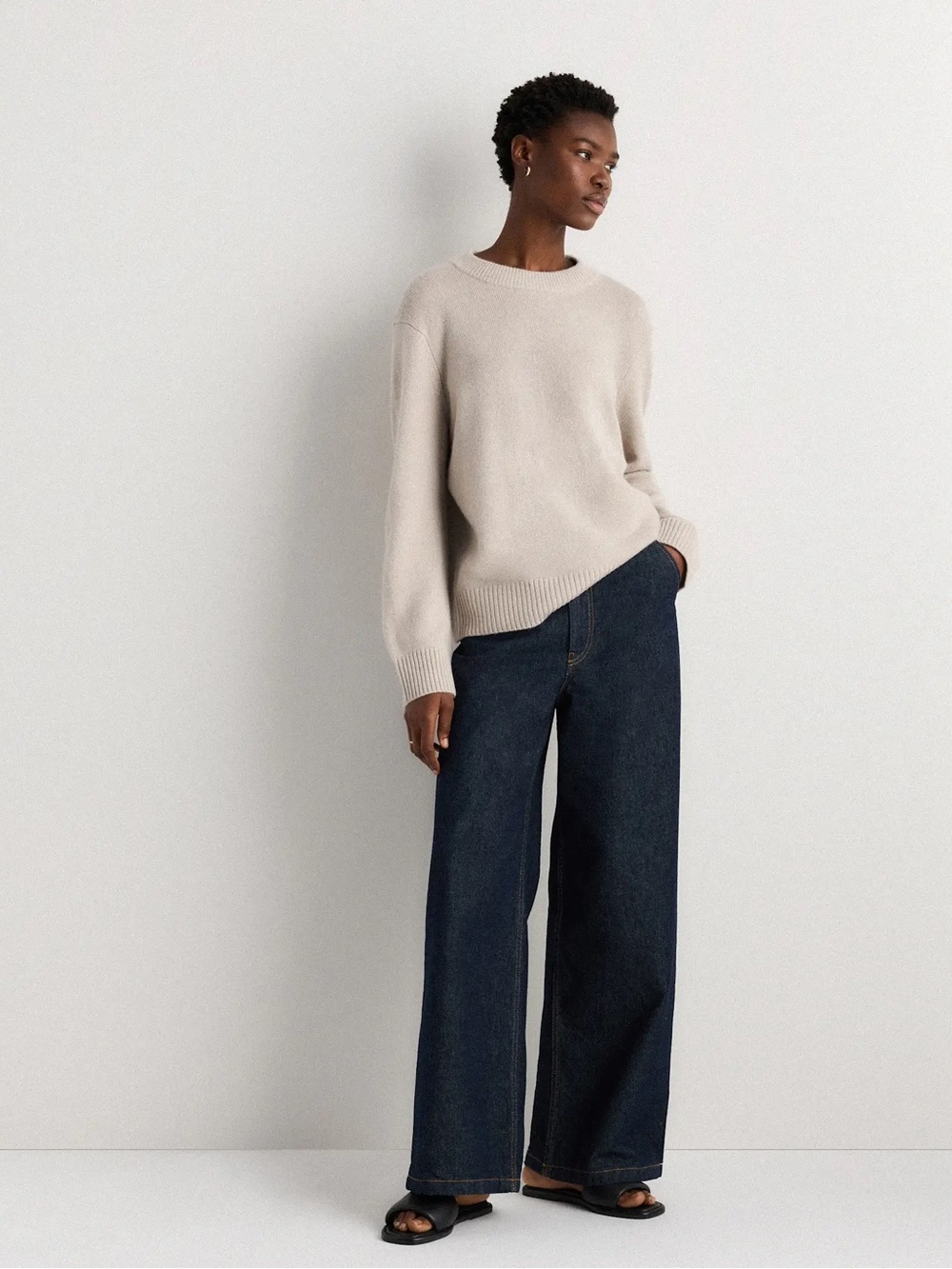 Quince Heather Cloud Beige Mongolian Cashmere Oversized Crewneck Sweater - Picture 3 of 12